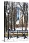 Snow in Central Park IV-Philippe Hugonnard-Stretched Canvas