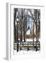 Snow in Central Park IV-Philippe Hugonnard-Framed Giclee Print