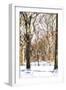 Snow in Central Park-Philippe Hugonnard-Framed Giclee Print