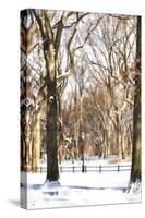 Snow in Central Park-Philippe Hugonnard-Stretched Canvas