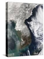 Snow in Korea-null-Stretched Canvas
