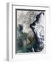 Snow in Korea-null-Framed Premium Photographic Print