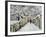 Snow in Louveciennes, c.1878-Alfred Sisley-Framed Giclee Print