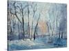 Snow in the Garden, 1993-Patricia Espir-Stretched Canvas