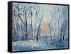 Snow in the Garden, 1993-Patricia Espir-Framed Stretched Canvas