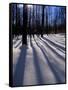 Snow in the Northern Hardwood Forest, Maine, USA-Jerry & Marcy Monkman-Framed Stretched Canvas