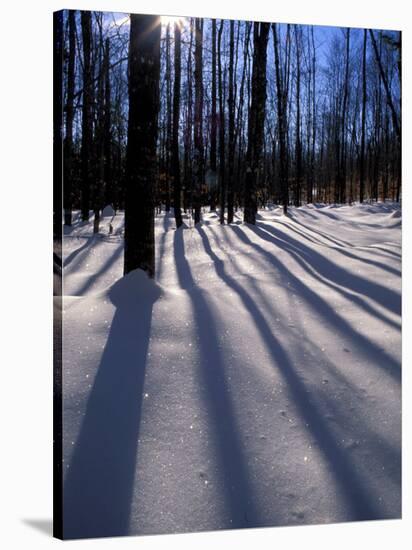 Snow in the Northern Hardwood Forest, Maine, USA-Jerry & Marcy Monkman-Stretched Canvas