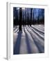 Snow in the Northern Hardwood Forest, Maine, USA-Jerry & Marcy Monkman-Framed Photographic Print