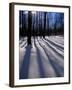 Snow in the Northern Hardwood Forest, Maine, USA-Jerry & Marcy Monkman-Framed Photographic Print