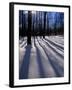 Snow in the Northern Hardwood Forest, Maine, USA-Jerry & Marcy Monkman-Framed Photographic Print