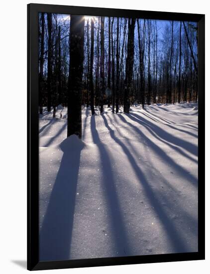 Snow in the Northern Hardwood Forest, Maine, USA-Jerry & Marcy Monkman-Framed Photographic Print