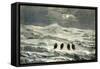 Snow in the Sierra 1869 Peru-null-Framed Stretched Canvas