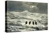 Snow in the Sierra 1869 Peru-null-Stretched Canvas