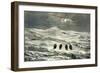 Snow in the Sierra 1869 Peru-null-Framed Giclee Print