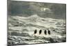 Snow in the Sierra 1869 Peru-null-Mounted Giclee Print