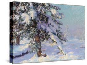 Snow-Laden (Oil on Canvas)-Walter Launt Palmer-Stretched Canvas