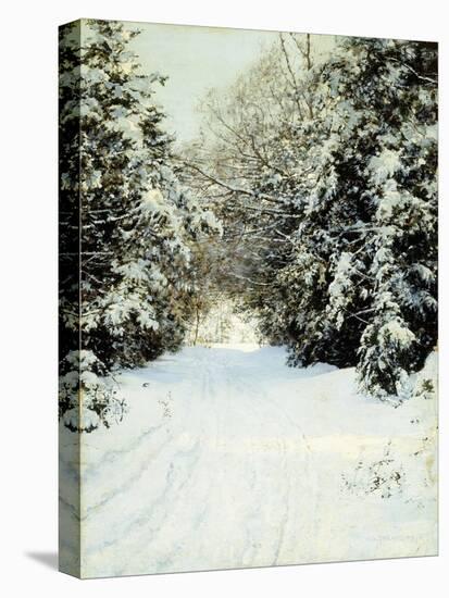 Snow-Laden Trees, 1887-Walter Launt Palmer-Stretched Canvas