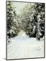 Snow-Laden Trees, 1887-Walter Launt Palmer-Mounted Giclee Print