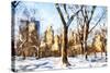 Snow Laden Trees - In the Style of Oil Painting-Philippe Hugonnard-Stretched Canvas