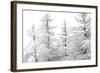 Snow-Laden Trees-Howard Ruby-Framed Photographic Print