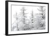 Snow-Laden Trees-Howard Ruby-Framed Photographic Print