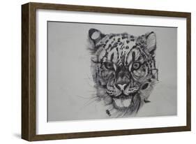 Snow Leopard, 2016-Lou Gibbs-Framed Giclee Print