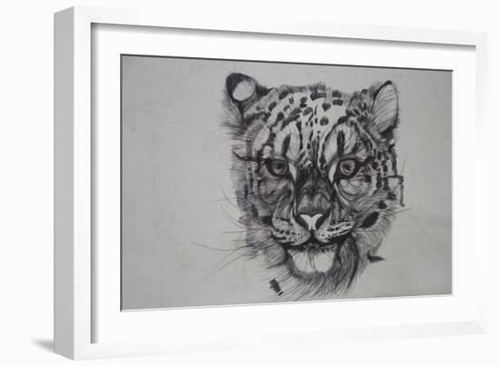 Snow Leopard, 2016-Lou Gibbs-Framed Giclee Print