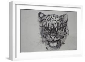 Snow Leopard, 2016-Lou Gibbs-Framed Giclee Print