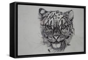 Snow Leopard, 2016-Lou Gibbs-Framed Stretched Canvas