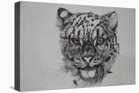 Snow Leopard, 2016-Lou Gibbs-Stretched Canvas