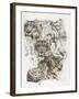 Snow Leopard and Ghost Image-Barbara Keith-Framed Giclee Print