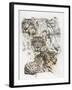 Snow Leopard and Ghost Image-Barbara Keith-Framed Giclee Print