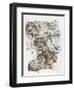 Snow Leopard and Ghost Image-Barbara Keith-Framed Giclee Print