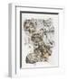 Snow Leopard and Ghost Image-Barbara Keith-Framed Giclee Print