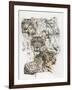 Snow Leopard and Ghost Image-Barbara Keith-Framed Giclee Print