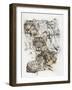 Snow Leopard and Ghost Image-Barbara Keith-Framed Giclee Print