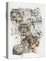 Snow Leopard and Ghost Image-Barbara Keith-Stretched Canvas