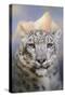 Snow Leopard at the Mountain-Jai Johnson-Stretched Canvas