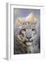 Snow Leopard at the Mountain-Jai Johnson-Framed Giclee Print