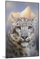 Snow Leopard at the Mountain-Jai Johnson-Mounted Giclee Print