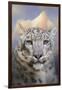 Snow Leopard at the Mountain-Jai Johnson-Framed Giclee Print