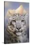 Snow Leopard at the Mountain-Jai Johnson-Stretched Canvas