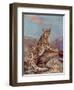 Snow Leopard (Or Ounce)-Cuthbert Swan-Framed Art Print