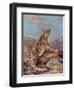 Snow Leopard (Or Ounce)-Cuthbert Swan-Framed Art Print