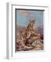 Snow Leopard (Or Ounce)-Cuthbert Swan-Framed Art Print