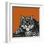 Snow Leopard Orange-Sharon Turner-Framed Art Print