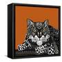 Snow Leopard Orange-Sharon Turner-Framed Stretched Canvas