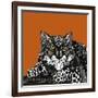 Snow Leopard Orange-Sharon Turner-Framed Art Print