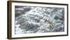 Snow Leopard (Panthera Uncia) Hemis National Park, India, February-Wim van den Heever-Framed Photographic Print