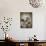 Snow Leopard Portrait-Jai Johnson-Giclee Print displayed on a wall